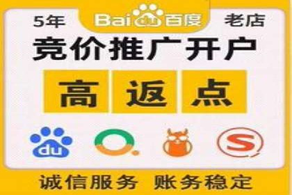 成功企业的SEM竞价优化经验与启示